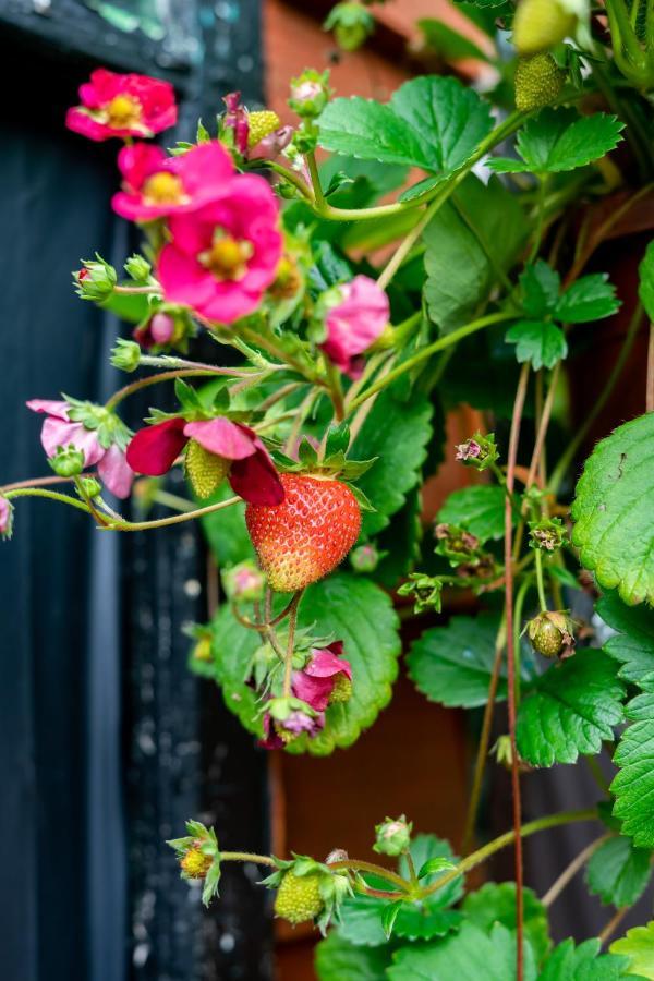Red Cherry House 왓퍼드 외부 사진